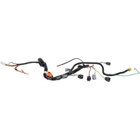 Faisceau de câble BRIGGS & STRATTON 593866