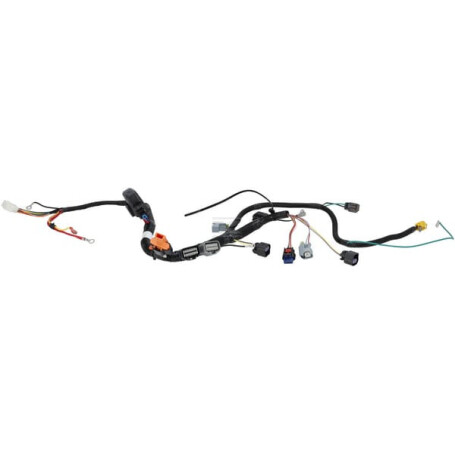 Faisceau de câble BRIGGS & STRATTON 593866
