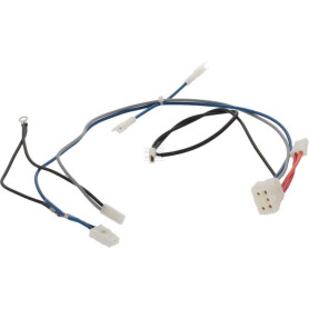 Faisceau de câble BRIGGS & STRATTON 594359