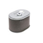 Filtre à cartouche BRIGGS & STRATTON 595435