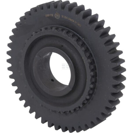 Pignon RAICO 598179N