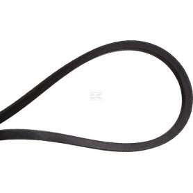 Kit de courroie NIEMEYER 593862