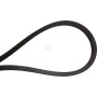 Kit de courroie NIEMEYER 593862