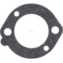 Carburateur BRIGGS & STRATTON 591309