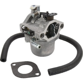 Carburateur BRIGGS & STRATTON 590399