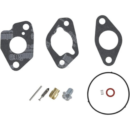 Kit BRIGGS & STRATTON 592229