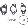 Kit BRIGGS & STRATTON 592229