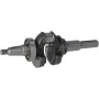 Vilebrequin BRIGGS & STRATTON 590961