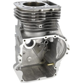 Assemblage BRIGGS & STRATTON 591465
