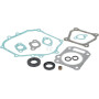 Kit BRIGGS & STRATTON 591460