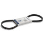 Courroie de traction HUSQVARNA 589563101