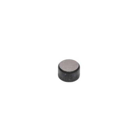 Bouchon de valve BRIGGS & STRATTON 590649