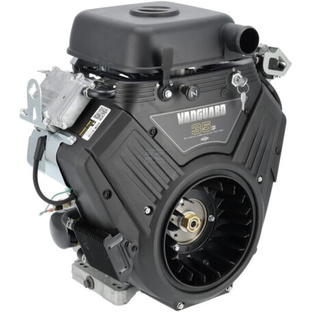 Moteur BRIGGS & STRATTON 6134774213J1