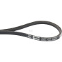 Courroie VIKING 61057042100