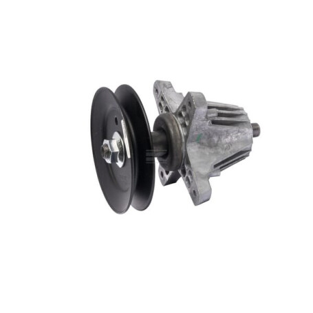 Assemblage MTD 61806980