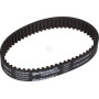 Courroie WOLF-GARTEN 6020332