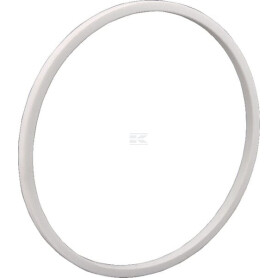 Bague de maintien MZ 6020591