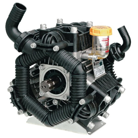 Pompe BERTOLINI 626050973DS