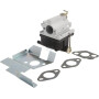 Carburateur adapté TECUMSEH 632671CKR