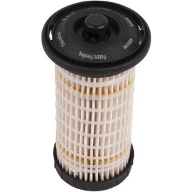 Filtre LANDINI 6516155M1