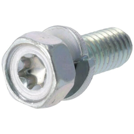 Vis BRIGGS & STRATTON 690341