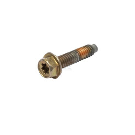 Vis BRIGGS & STRATTON 691689
