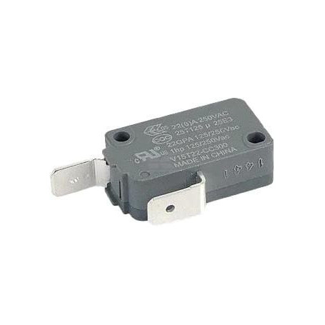 Microrupteur KÄRCHER 66310700