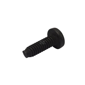 Vis BRIGGS & STRATTON 696255