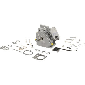 Bloc BRIGGS & STRATTON 699579A