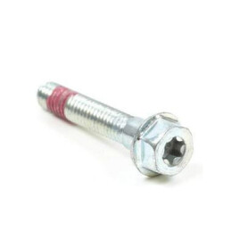 Vis BRIGGS & STRATTON 699484