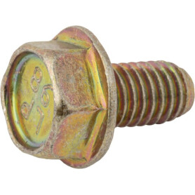 Vis BRIGGS & STRATTON 699491