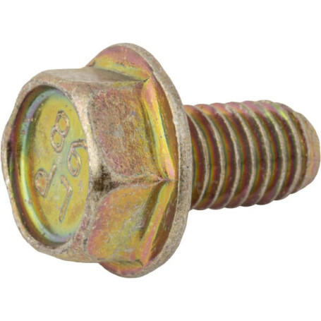 Vis BRIGGS & STRATTON 699491