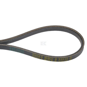 Courroie WOLF-GARTEN 6925515