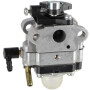Carburateur BRIGGS & STRATTON 696949