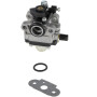 Carburateur BRIGGS & STRATTON 696949