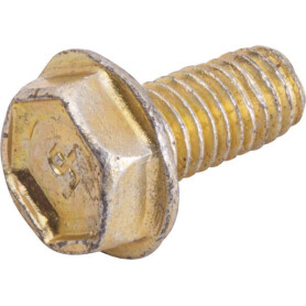 Vis BRIGGS & STRATTON 699234