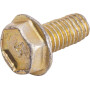 Vis BRIGGS & STRATTON 699234