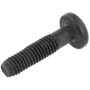 Vis BRIGGS & STRATTON 698589