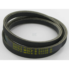 Courroie WOLF-GARTEN 6930509