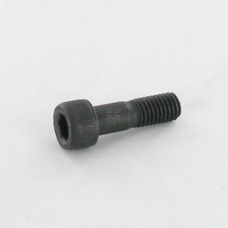 Boulon SCHRIJVER 702034