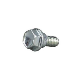Vis BRIGGS & STRATTON 703839