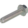 Vis BRIGGS & STRATTON 704318