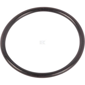Rondelle AGCO 70931640