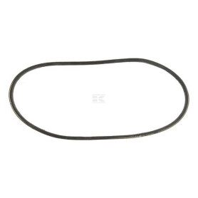 Entraînement BRIGGS & STRATTON 707584