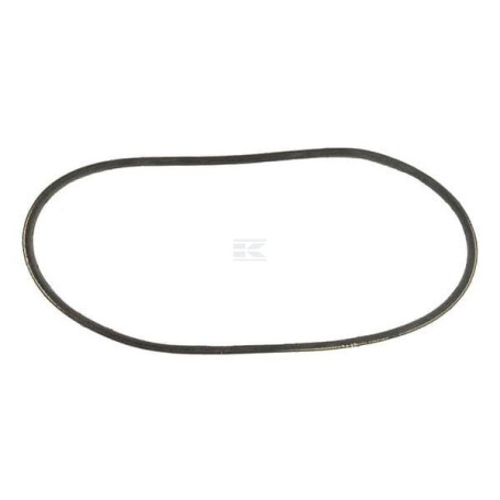 Entraînement BRIGGS & STRATTON 707584