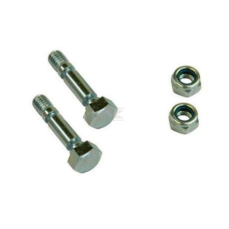 Kit BRIGGS & STRATTON 707555