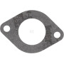 Joint d'étanchéité BRIGGS & STRATTON 712162