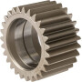 Pignon de différentiel SPICER DANA 7300602402