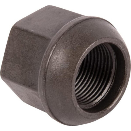 Écrou SPICER DANA 7302601201N