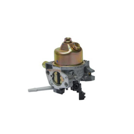 Carburateur MTD 75114423